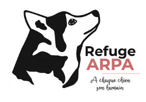 logo arpa