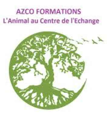 logo azco